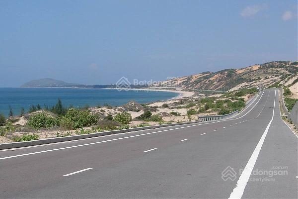 Chính chủ bán 2900m2 đất cây lâu năm view biển giá 450tr  sổ sẵn, công chứng ngay
