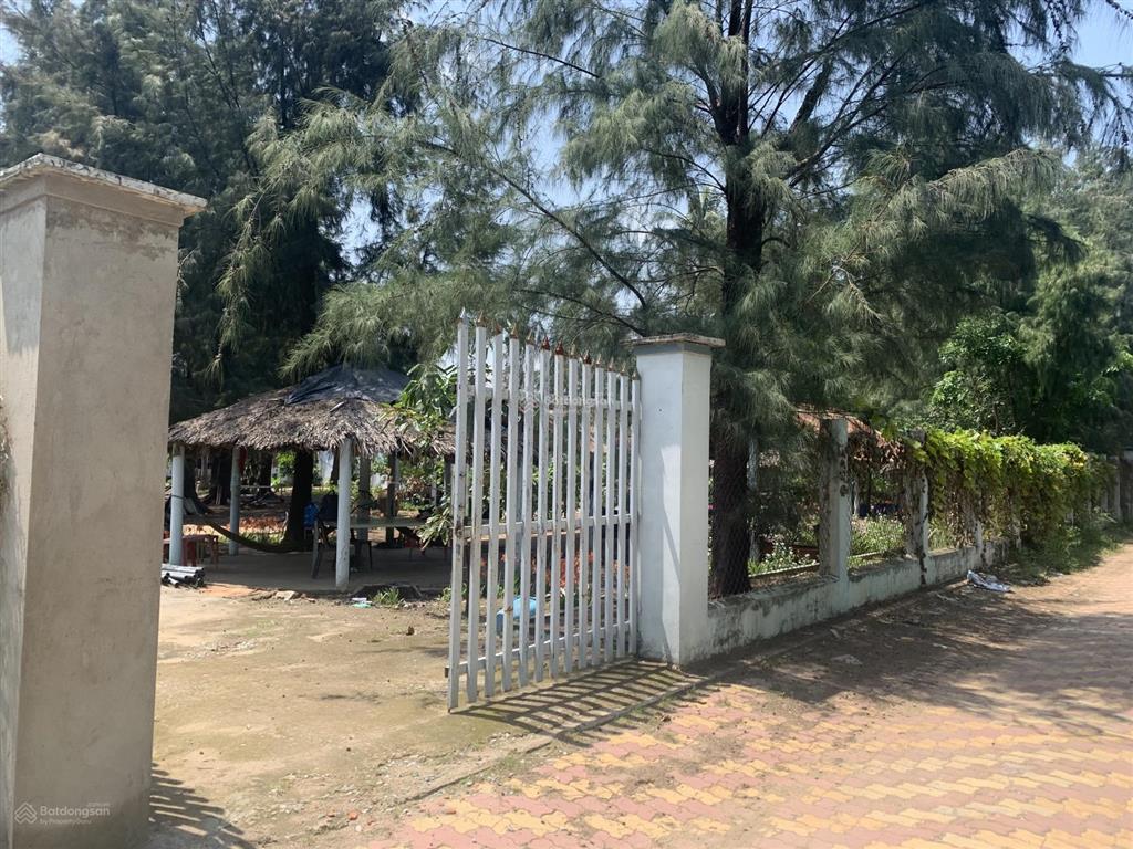 Bán đất tại phan đức, cần giờ, 95 tỷ, 3660 m2 đối diện dự án vinhom paradise