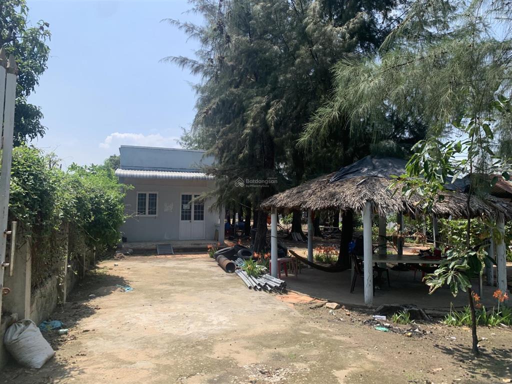 Bán đất tại phan đức, cần giờ, 95 tỷ, 3660 m2 đối diện dự án vinhom paradise