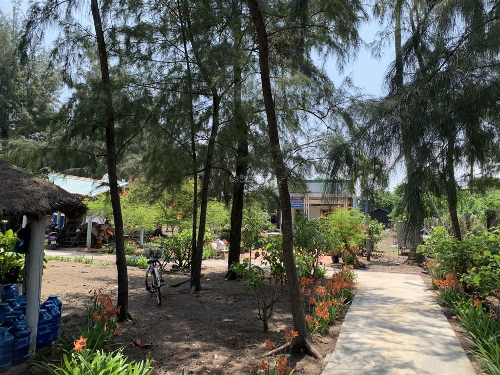 Bán đất tại phan đức, cần giờ, 95 tỷ, 3660 m2 đối diện dự án vinhom paradise