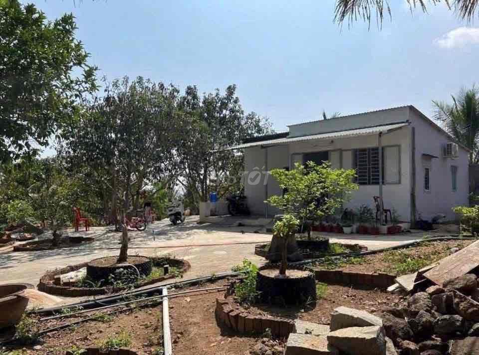 Bán gấp lô đất dt 2300m2 mặt tiền đg giá 275Tr có sổ hồng riêng