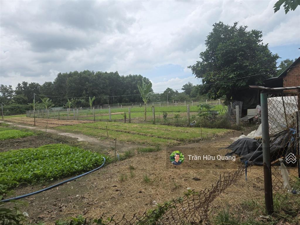 Bán đất phước hải khu dân cư 777m2 có 100m2 tc giá chỉ 1,85 tỷ cách biển 10p