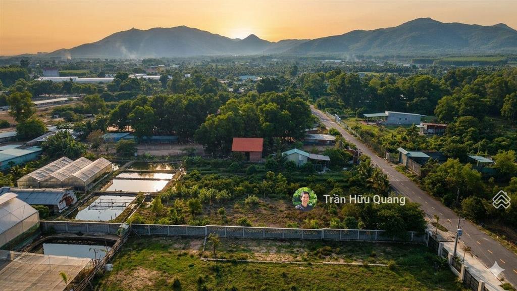 Siêu phẩm đầu tư đất đỏ 976m2 mặt tiền đường nhựa 8m  sổ hồng sẵn  đón đầu qh kcn
