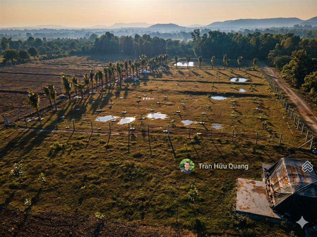 Siêu phẩm đầu tư đất đỏ 976m2 mặt tiền đường nhựa 8m  sổ hồng sẵn  đón đầu qh kcn