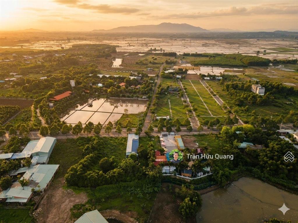 Siêu phẩm đầu tư đất đỏ 976m2 mặt tiền đường nhựa 8m  sổ hồng sẵn  đón đầu qh kcn