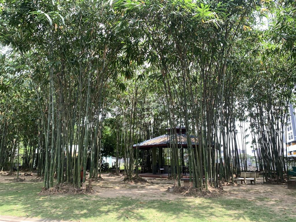 Bán căn góc nhà phố eco xuân giá 11 tỷ. dt 9x20 1t 2l 4pn 4wc. eco xuân ngay lotte.  0386 602 ***