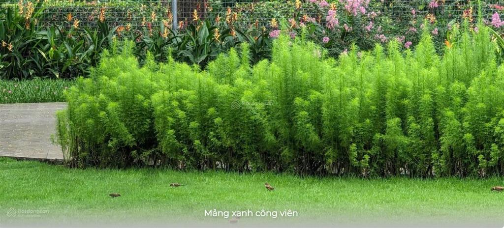 Giỏ hàng block c setia edenia các loại căn 1 23 phòng ngủ gía cực tốt chỉ từ 3 tỷ6 sau chiết khấu