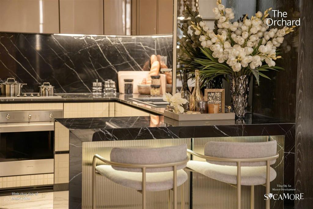 Mua biệt thự capitaland full nội thất không tốn thêm chi phí hoàn thiện giá chỉ 24,676 tỷ full