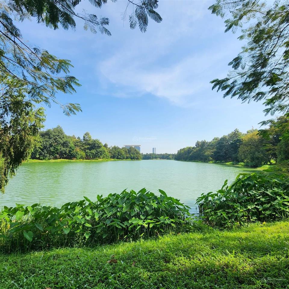 Cần bán căn biệt thự đồi mua trực tiếp cđt 270m2 orchard mansion | sycamore | capitaland