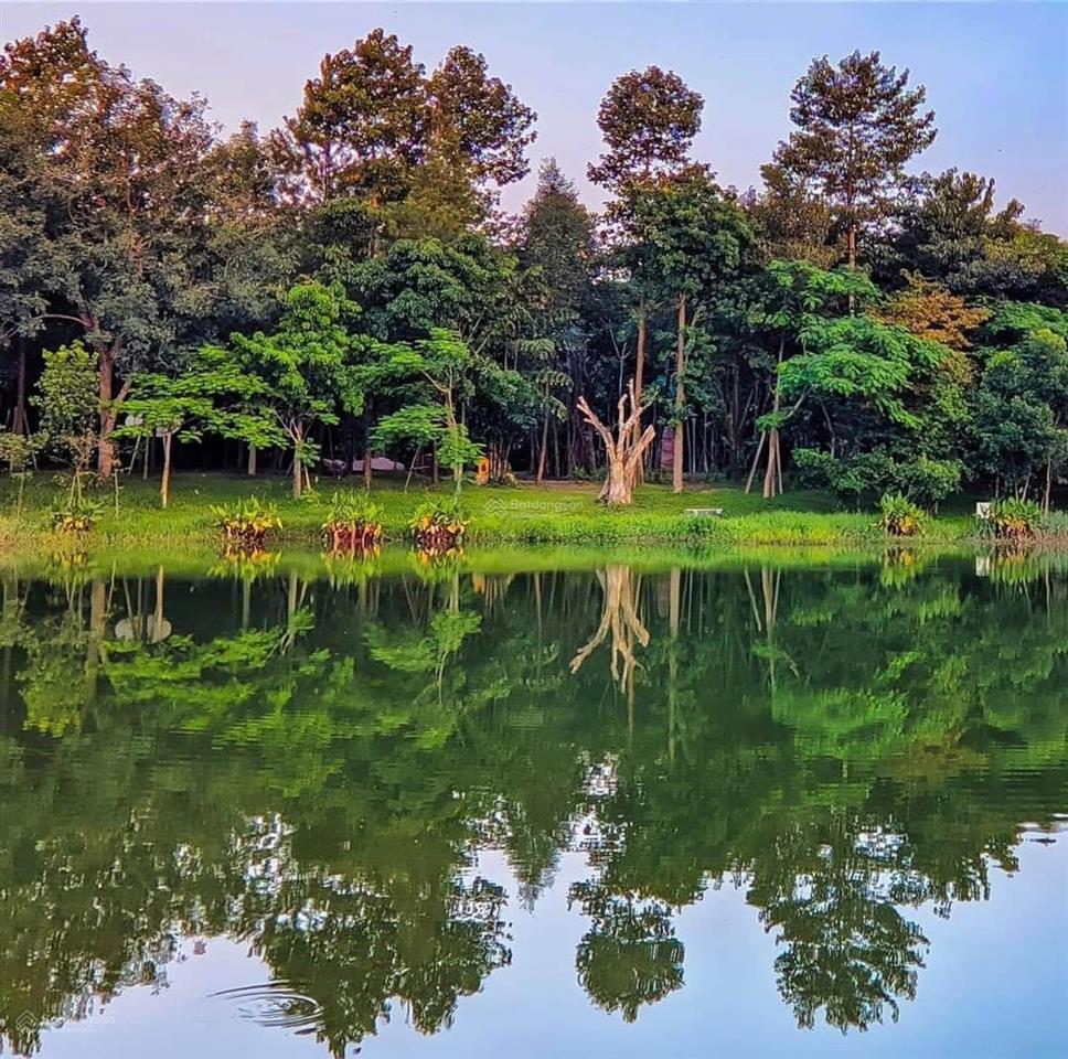 Biệt thự góc orchard mansion 350m giá full 51,528 tỷ không gian riêng tư đẳng cấp tại sycamore