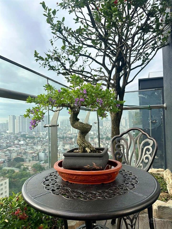 Bán căn góc 3pn green diamond dt 137m2, sổ sẵn, full nội thất tầng đẹp, ngắm hồ,  0971 366 ***