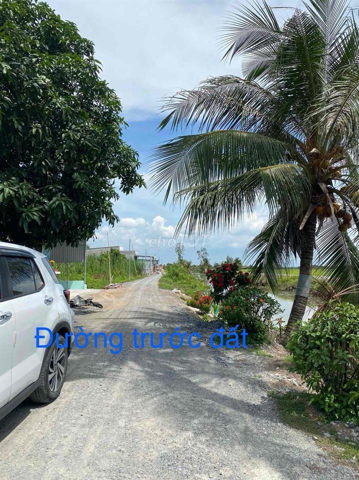 Thổ cư Ấp 1 . Tân Thành. Thủ Thừa. Tây Ninh (Long An cũ)
