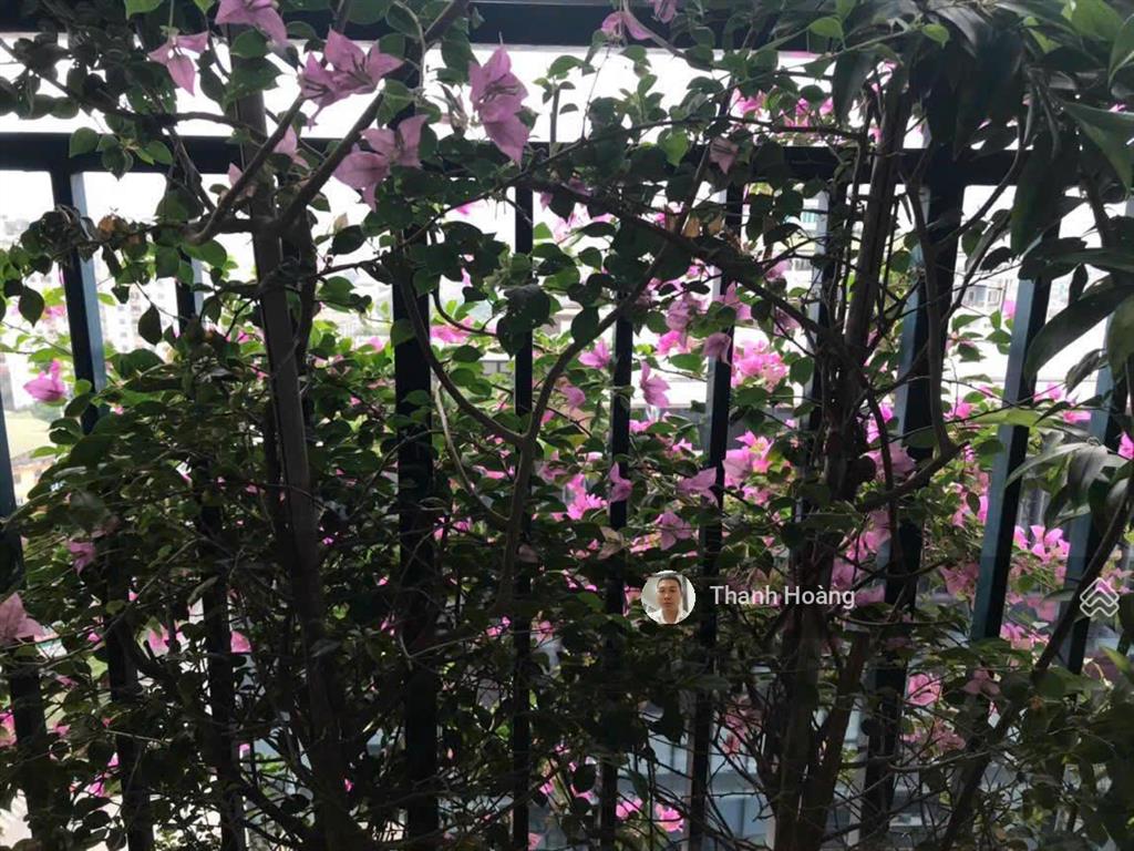 Hàng hót! cần bán gấp căn góc 3pn 113m full nội thất xịn tại dự án az lâm viên 107 nguyễn phong sắc