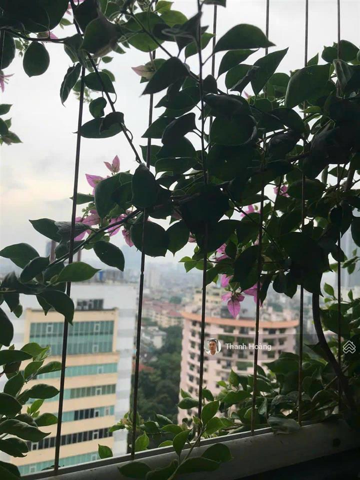 Hàng hót! cần bán gấp căn góc 3pn 113m full nội thất xịn tại dự án az lâm viên 107 nguyễn phong sắc