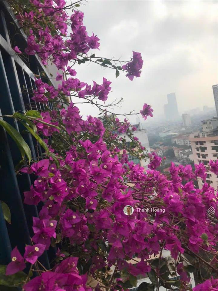 Hàng hót! cần bán gấp căn góc 3pn 113m full nội thất xịn tại dự án az lâm viên 107 nguyễn phong sắc