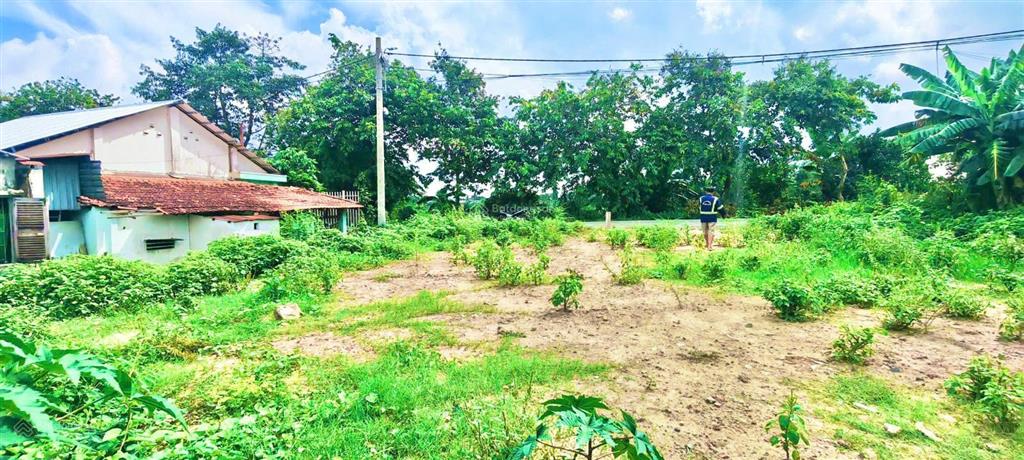 Lô đất đẹp 5x18m (91,3m² thổ cư). mặt tiền đỗ văn dậy 16. mua đầu tư, khu tương lai của hóc môn