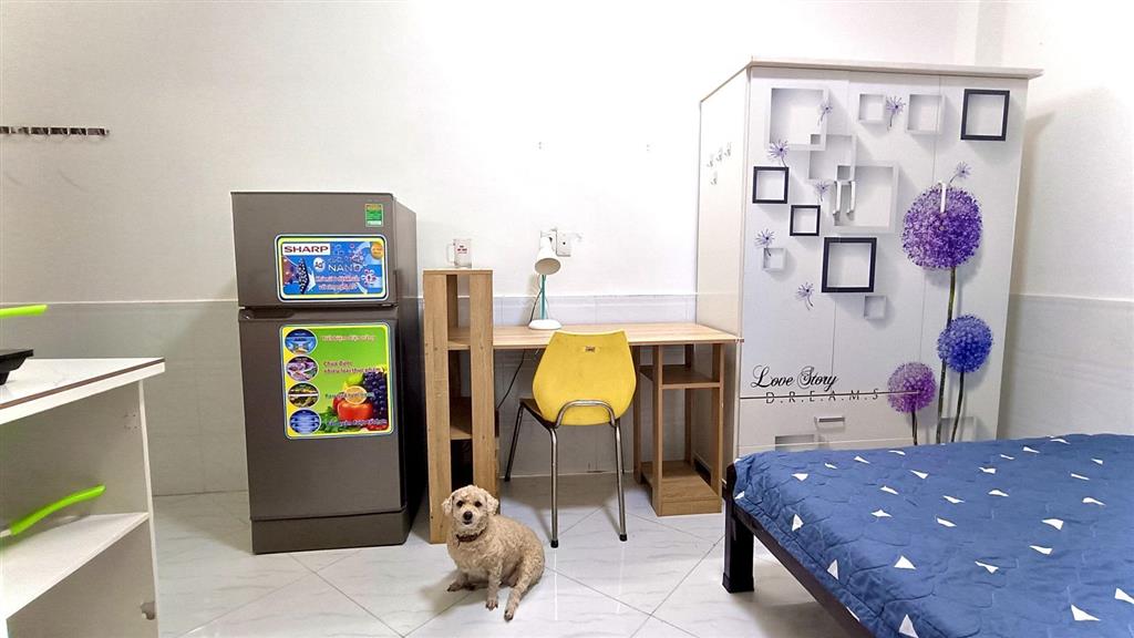 Phòng đẹp tt q10 full nt  full tiện ích