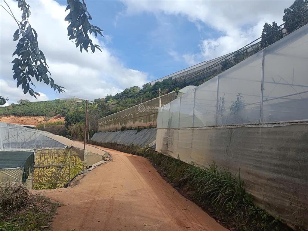 Bánđất tại xã xuân thọ, giá 2.9 tỷ (ngân hàng định giá 3.4 tỷ), dt 451m2 (diện tích đo đạc 508m2)