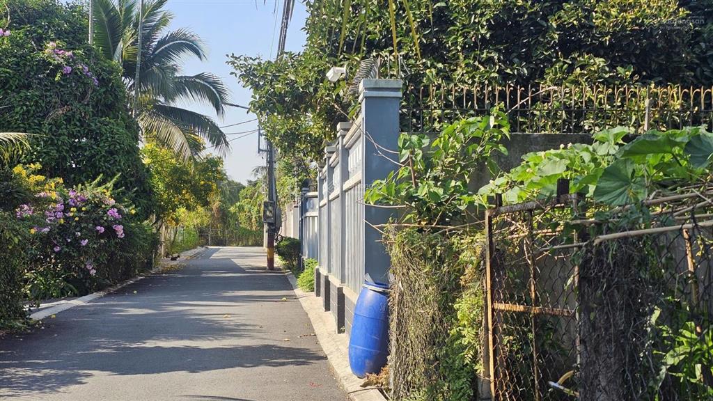 Đất an sơn 38, đường nhựa, 10x24m thổ cư 100m2, trên đất có vườn măng cụt, giá đầu tư được