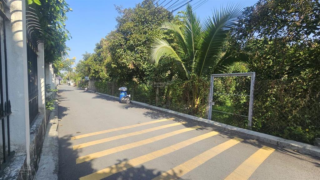 Đất an sơn 38, đường nhựa, 10x24m thổ cư 100m2, trên đất có vườn măng cụt, giá đầu tư được