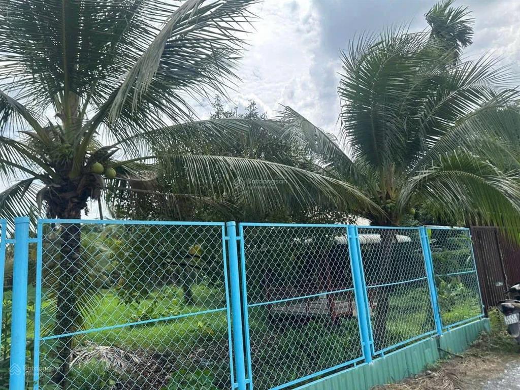 19x52m, mặt tiền an sơn 38, thổ cư 219m2, giá bán rất hợp lý 12,999 tỷ