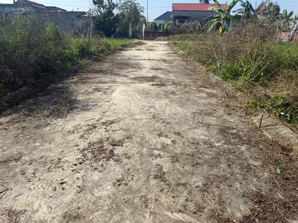 Bán đất tại xã chiến thắng, an lão, hải phòng, 550 triệu, 62.7m2
