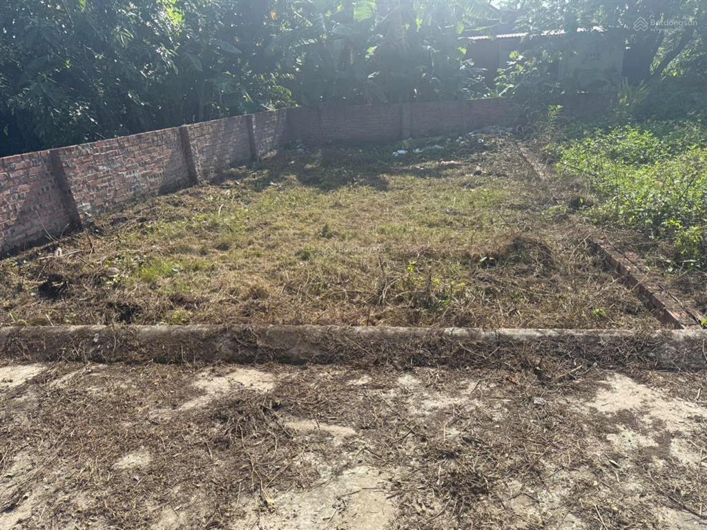 Bán đất tại xã chiến thắng, an lão, hải phòng, 550 triệu, 62.7m2