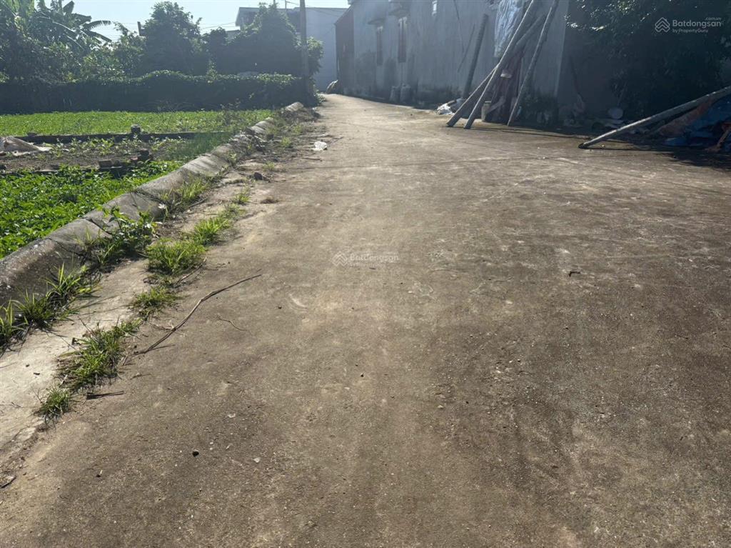 Bán đất tại xã chiến thắng, an lão, hải phòng, 550 triệu, 62.7m2