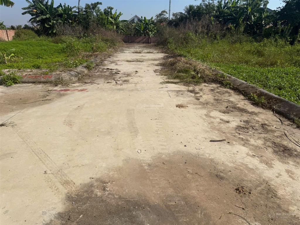 Bán đất tại xã chiến thắng, an lão, hải phòng, 550 triệu, 62.7m2