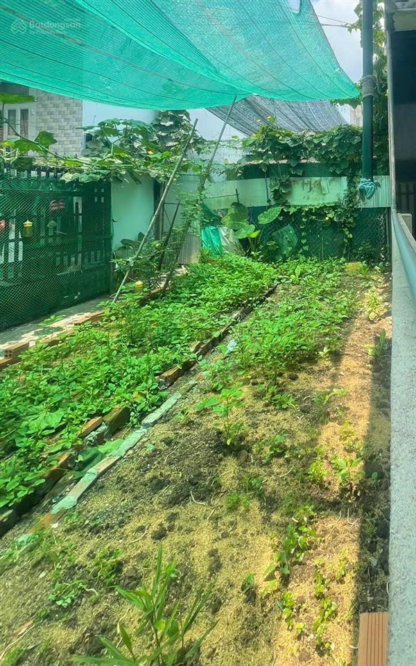 Bán đất 80m2 vuông vức đẹp đường oto p an bình biên hòa.