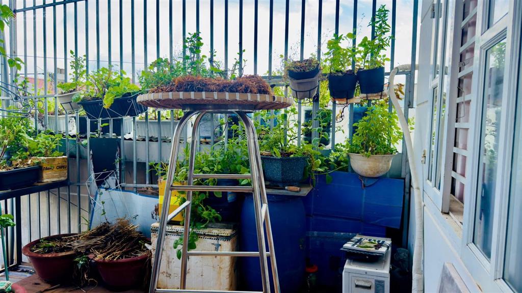 Bán nhà 1 trệt 1 lầu ngay chợ phường an bình 82m2 giá 3 tỷ 1