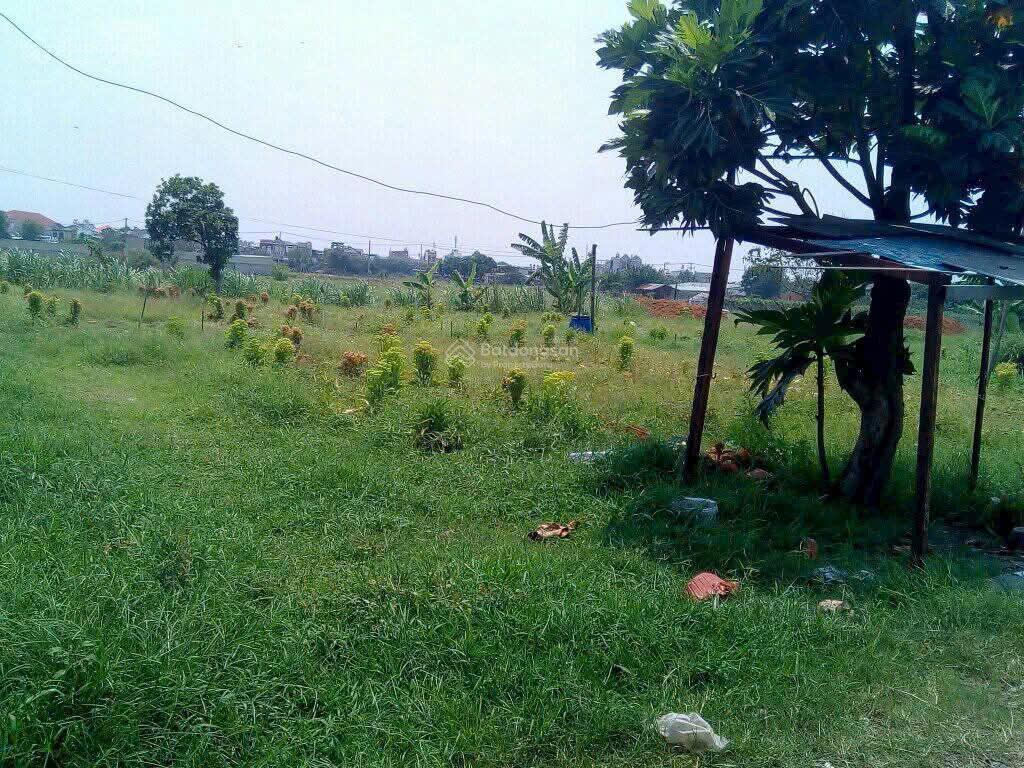 Đất chính chủ  giá tốt  xã xuân thới sơn, huyện hóc môn, tp hồ chí minh