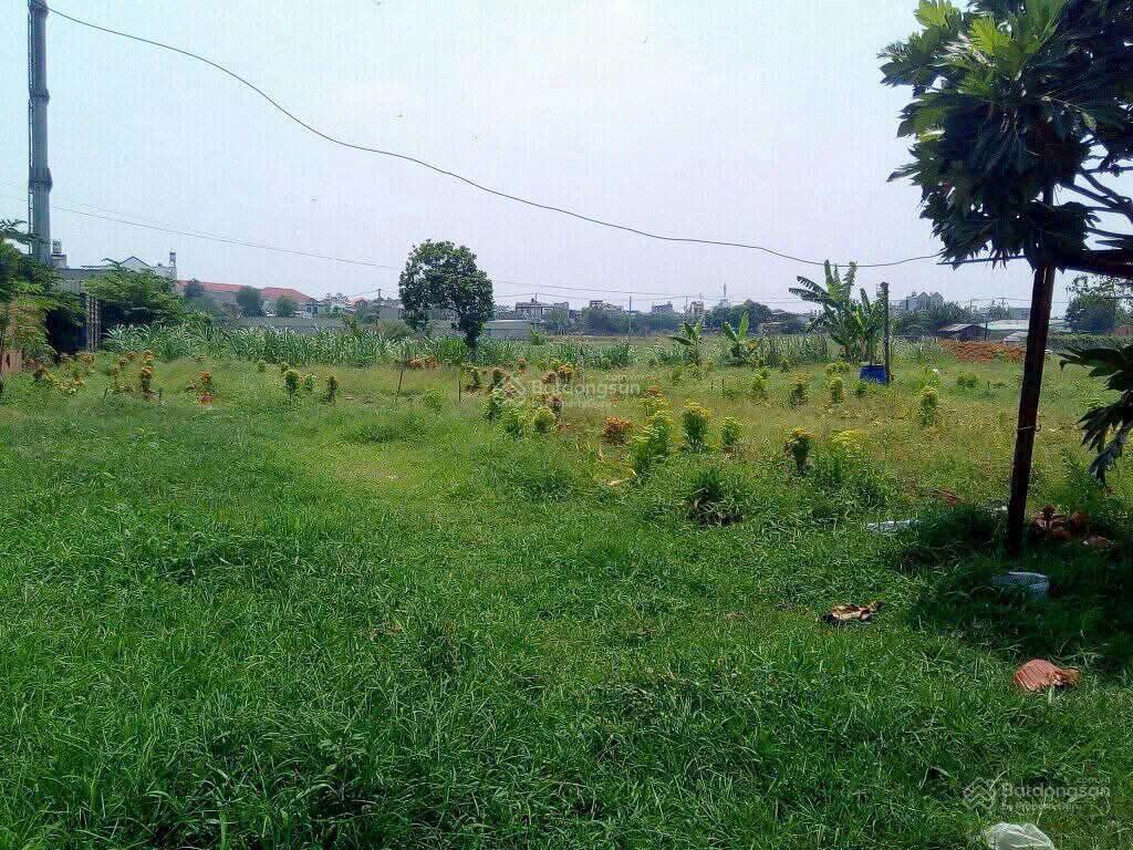 Đất chính chủ  giá tốt  xã xuân thới sơn, huyện hóc môn, tp hồ chí minh