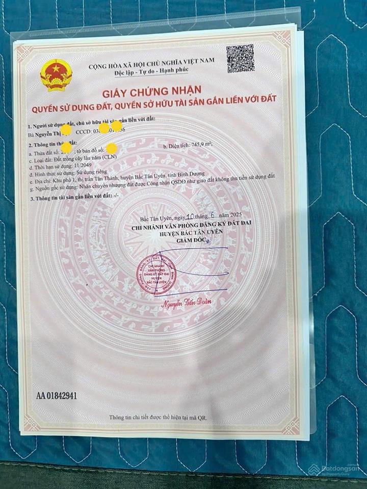 Đất đẹp giá tốt chính chủ cần bán tại đường tân thành 11, đường tân thành 11, thị trấn tân thành