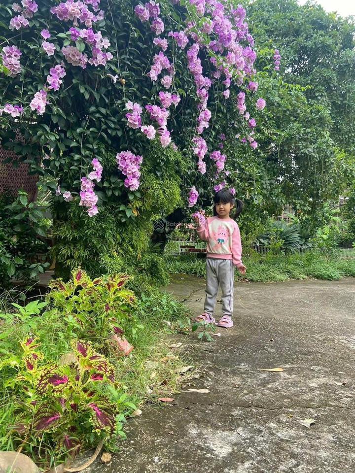 Biệt thự nhà vườn 2000m2 hiếm có  bảo đài, bắc ninh (lục nam, bắc giang cũ) (chính chủ)