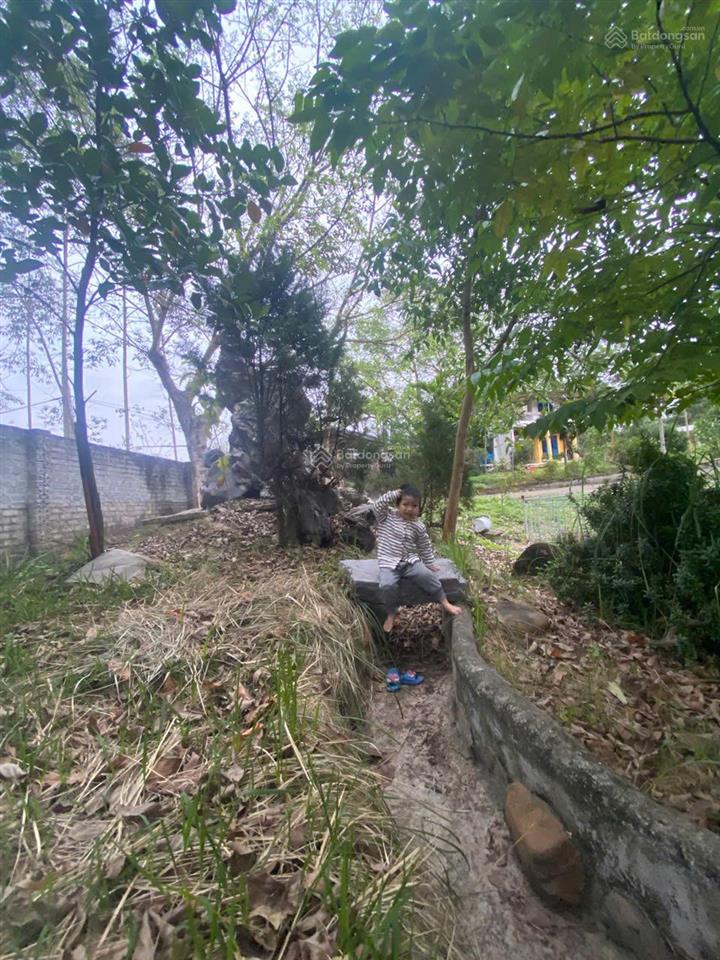 Biệt thự nhà vườn 2000m2 hiếm có  bảo đài, bắc ninh (lục nam, bắc giang cũ) (chính chủ)