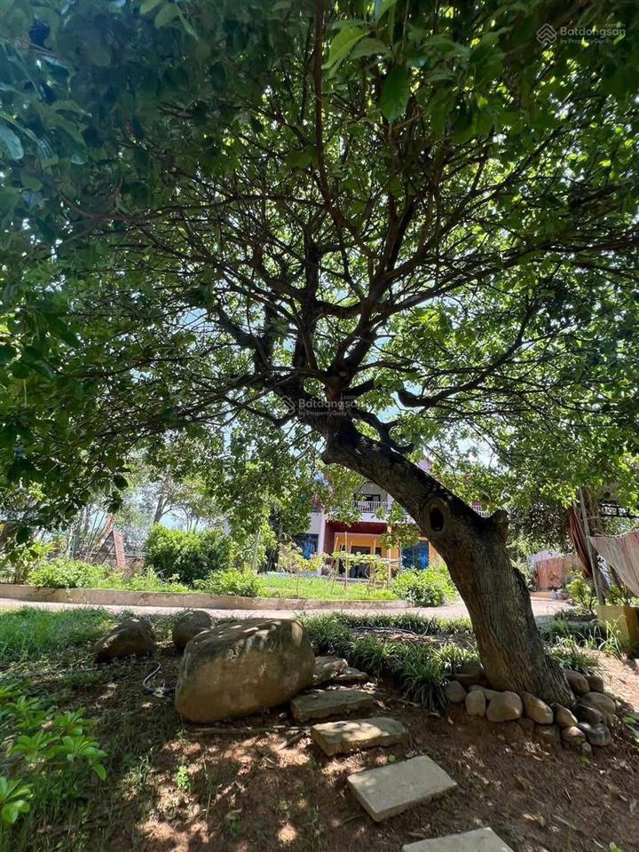 Biệt thự nhà vườn 2000m2 hiếm có  bảo đài, bắc ninh (lục nam, bắc giang cũ) (chính chủ)