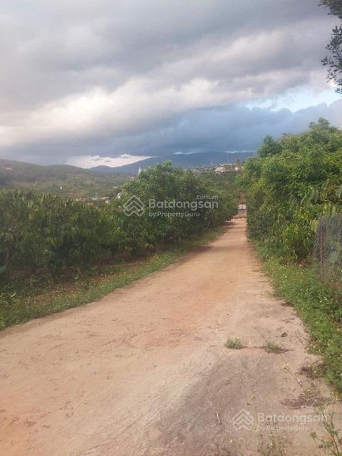 Đất đẹp  giá đầu tư  cần bán gấp 3 lô đất đẹp  gia lâm & nam ban lâm hà  tỉnh lâm đồng