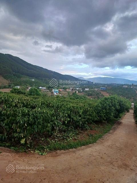 Đất đẹp  giá đầu tư  cần bán gấp 3 lô đất đẹp  gia lâm & nam ban lâm hà  tỉnh lâm đồng