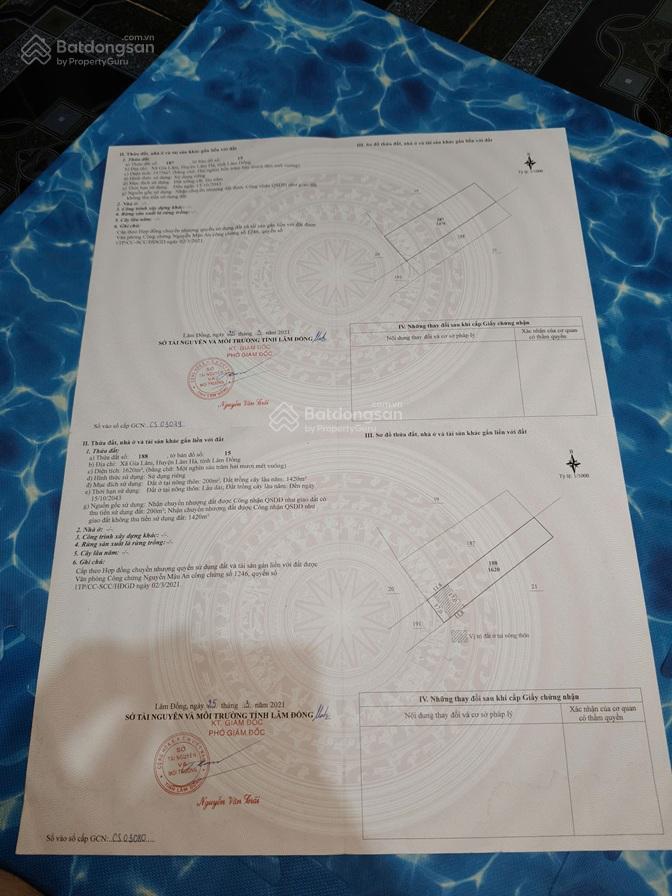 Đất đẹp  giá đầu tư  cần bán gấp 3 lô đất đẹp  gia lâm & nam ban lâm hà  tỉnh lâm đồng