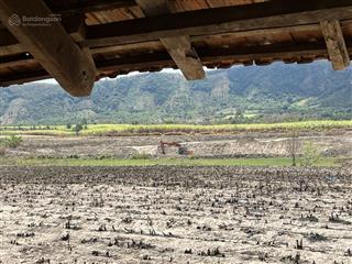 Đất đẹp  giá tốt chính chủ bán đất xã lâm sơn, ninh sơn ninh thuận (cũ)