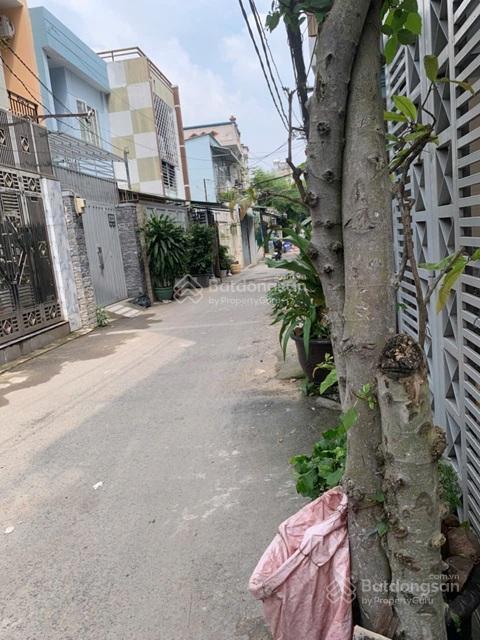 Nhà đẹp  giá tốt  chính chủ cần bán căn nhà tại đường quang trung, p.10, quận gò vấp, tp. hcm