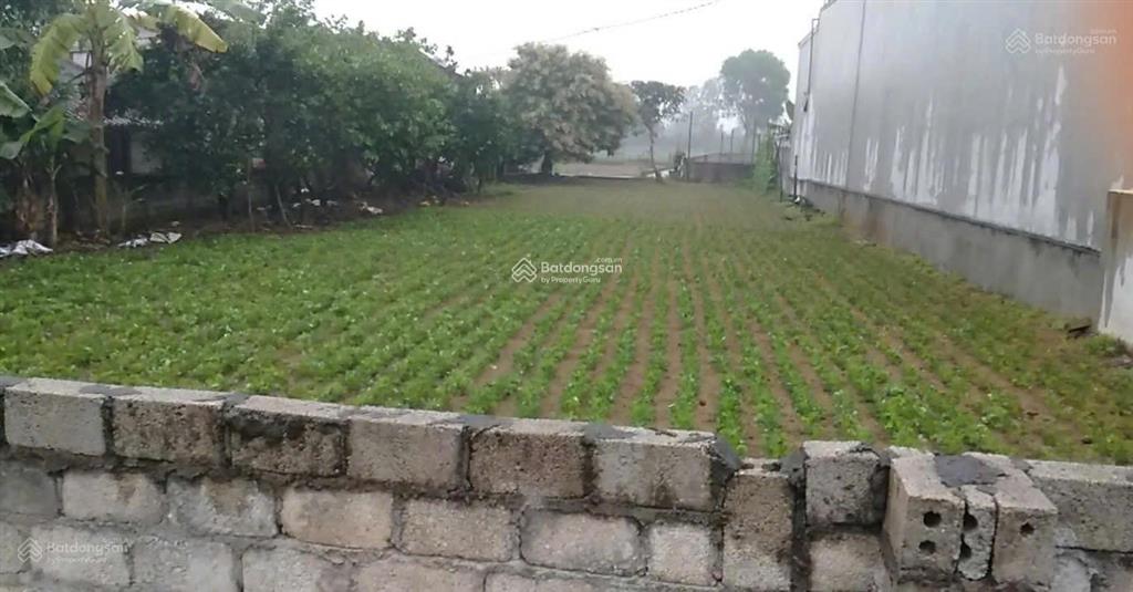 Đất đẹp  giá đầu tư chính chủ cần bán lô đất thôn phú thịnh, xã hải lĩnh, tx.nghi sơn, thanh hóa