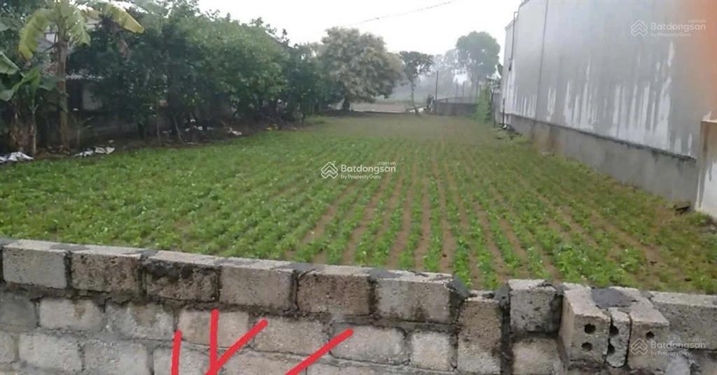 Đất đẹp  giá đầu tư chính chủ cần bán lô đất thôn phú thịnh, xã hải lĩnh, tx.nghi sơn, thanh hóa