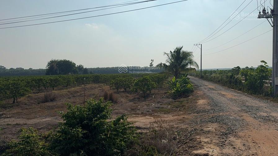 Chính chủ bán nhanh lô đất đẹp  giá tốt xã thạnh bình, tân biên, tây ninh