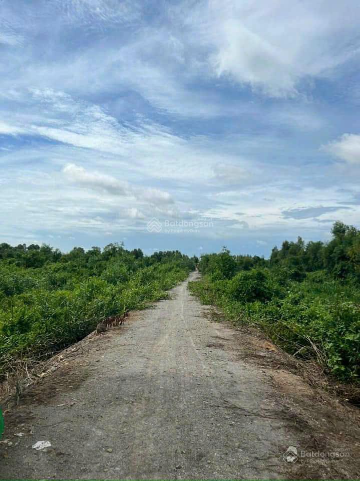 Cơ hội đầu tư sinh lời  siêu phẩm làm nhà vườn 1.000m² tại xã bình đức, bến lức, long an