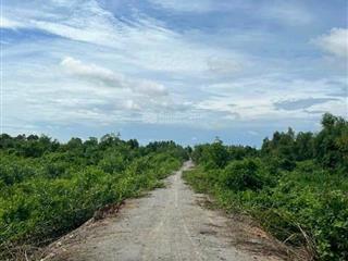 Cơ hội đầu tư sinh lời  siêu phẩm làm nhà vườn 1.000m² tại xã bình đức, bến lức, long an