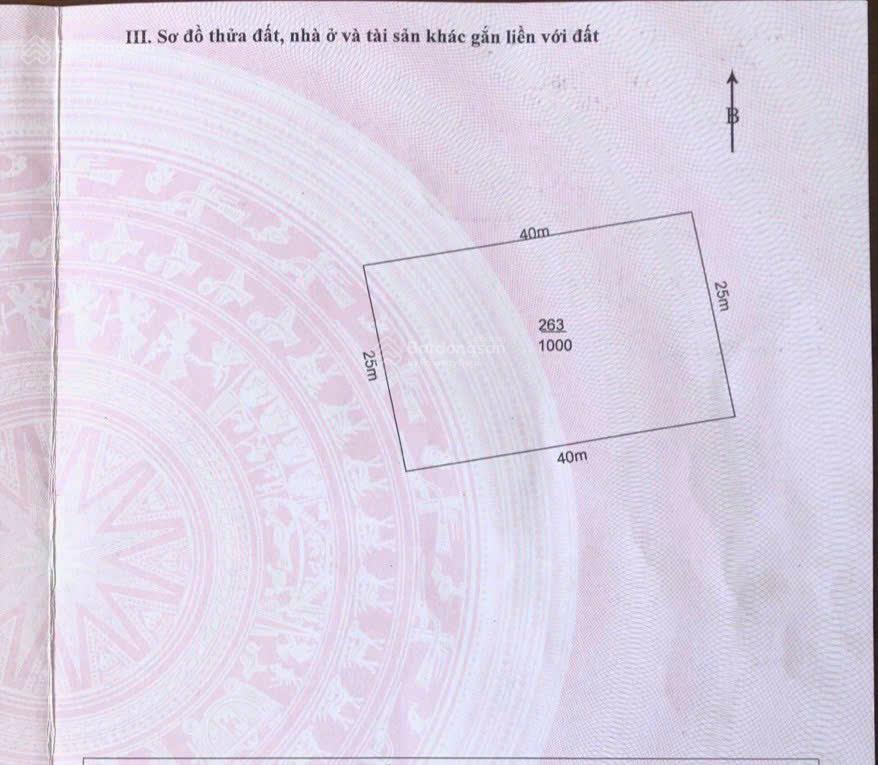 Cơ hội đầu tư sinh lời  siêu phẩm làm nhà vườn 1.000m² tại xã bình đức, bến lức, long an