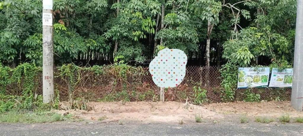 Đầu tư là sinh lời  chính chủ cần bán nhanh lô đất ấp phước an, xã phước thạnh, tỉnh tây ninh