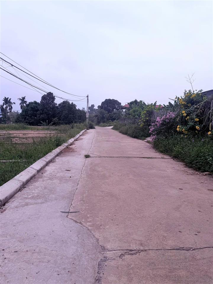 Hot hot chính chủ cần bán đất full thổ cư xã tu vũ, huyện thanh thủy, tỉnh phú thọ